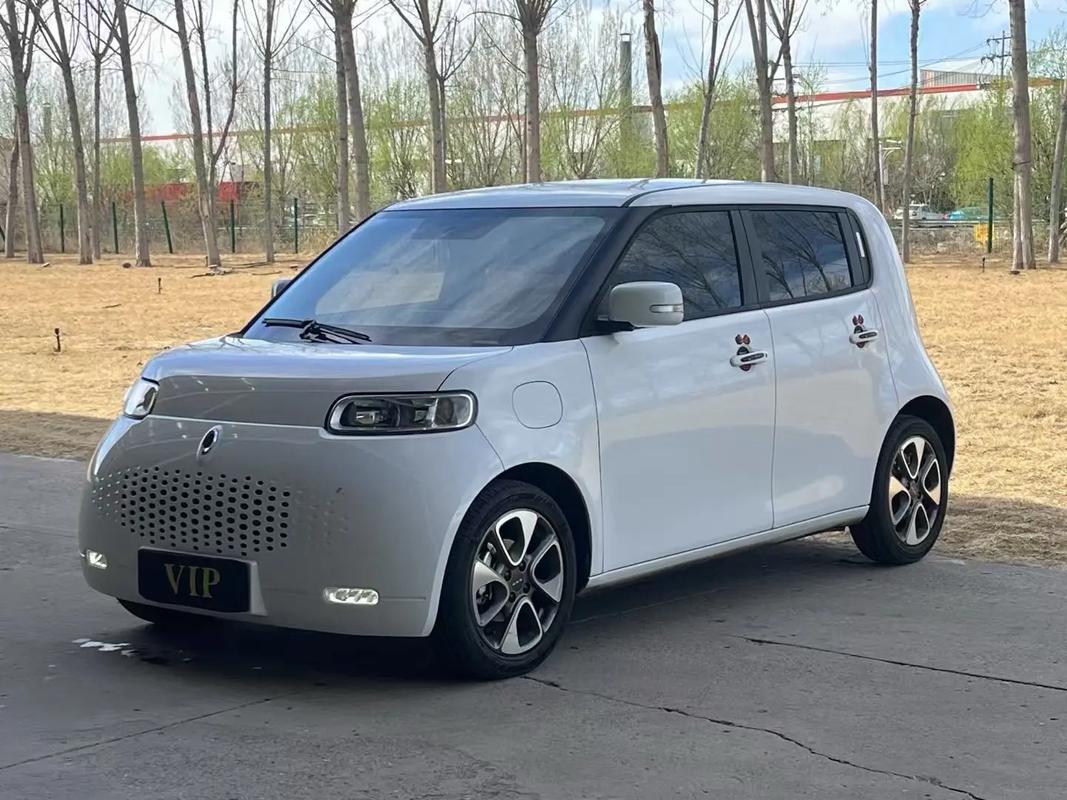 欧拉猫汽车／欧拉猫汽车厦门