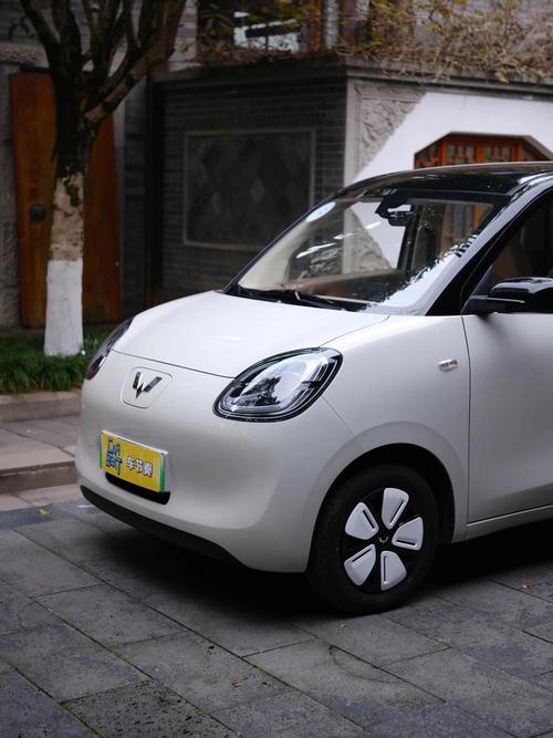 mini新能源电动车(3万一5万女士新能源)