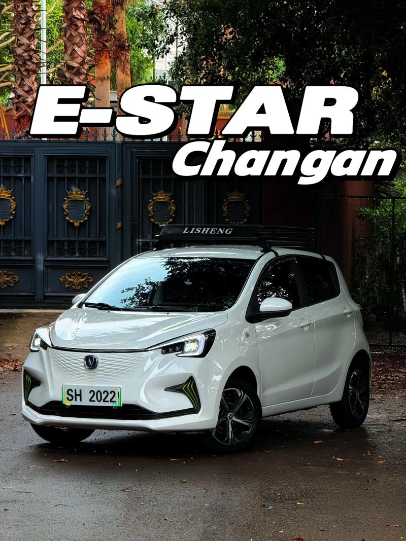 奔奔新能源汽车2022款／奔奔新能源车2021款