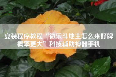 安装程序教程“微乐斗地主怎么来好牌概率更大”科技辅助神器手机