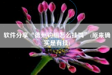 软件分享“德州钓组怎么挂饵”(原来确实是有挂)