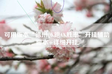 可用版本“德州QK跑AK胜率”开挂辅助脚本+详细开挂