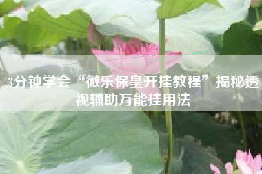 3分钟学会“微乐保皇开挂教程”揭秘透视辅助万能挂用法