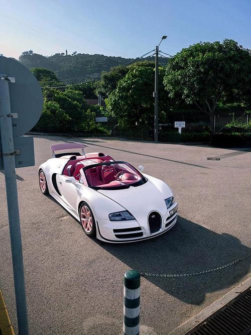 中国谁有布加迪 中国谁有布加迪威龙