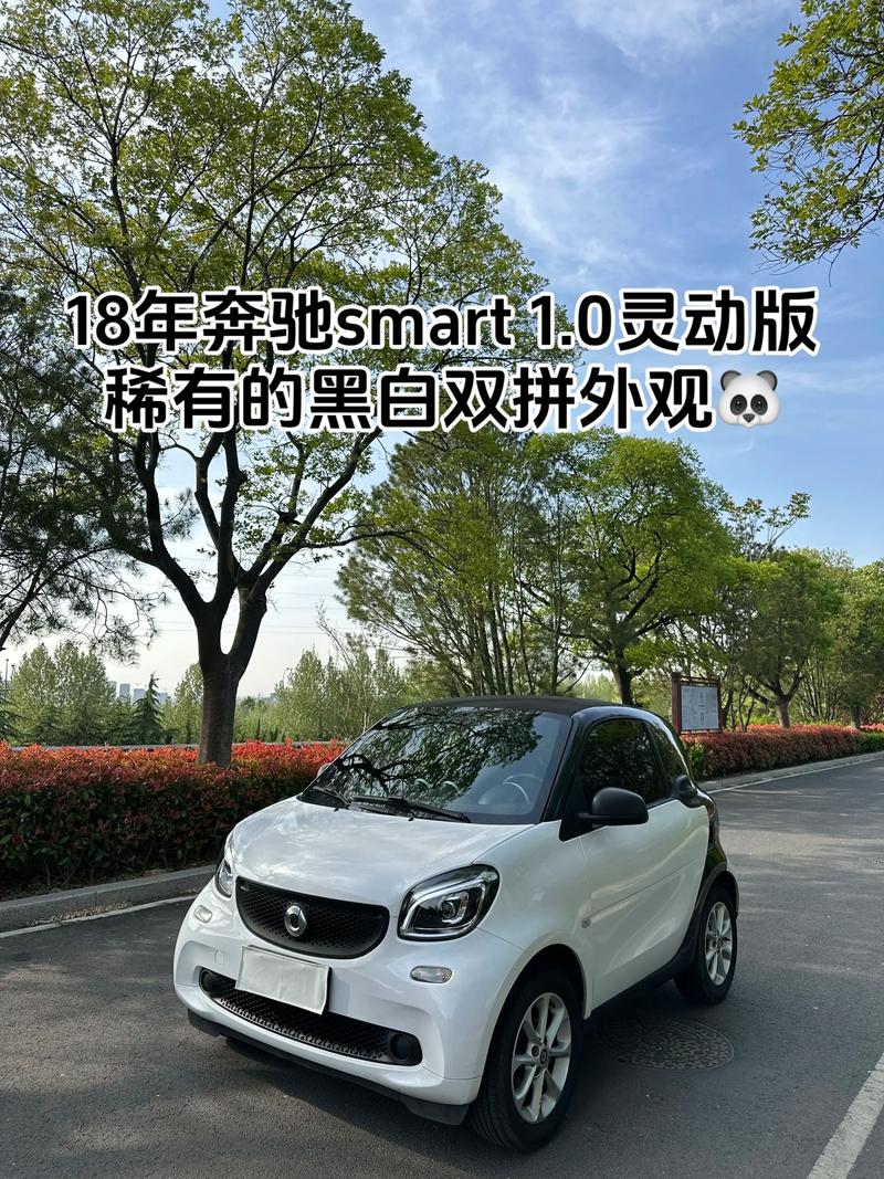 奔驰smart价格及图片照片(奔驰smart官方售价图片)