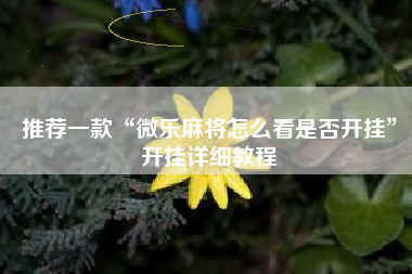 推荐一款“微乐麻将怎么看是否开挂”开挂详细教程