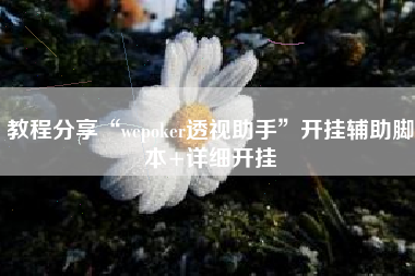 教程分享“wepoker透视助手	”开挂辅助脚本+详细开挂