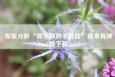 专家分析“微乐麻将手机挂”原来有神器下载