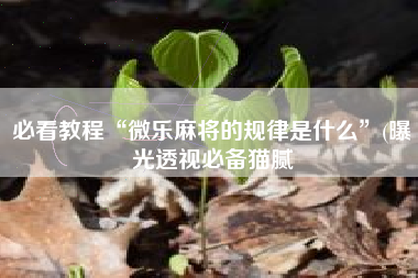 必看教程“微乐麻将的规律是什么”(曝光透视必备猫腻