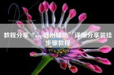 教程分享“app德州辅助”详细分享装挂步骤教程