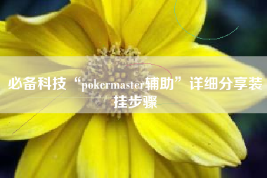 必备科技“pokermaster辅助	”详细分享装挂步骤