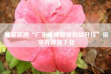 独家实测“广东雀神榜推倒胡开挂	”原来有神器下载