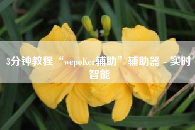 3分钟教程“wepoKer辅助	”辅助器 - 实时智能