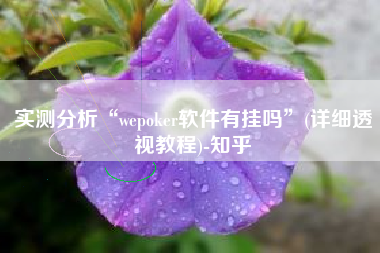 实测分析“wepoker软件有挂吗”(详细透视教程)-知乎