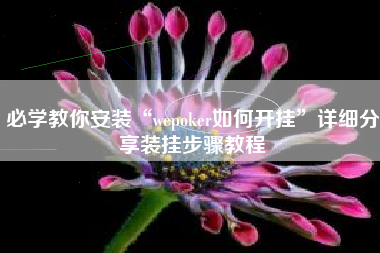必学教你安装“wepoker如何开挂”详细分享装挂步骤教程