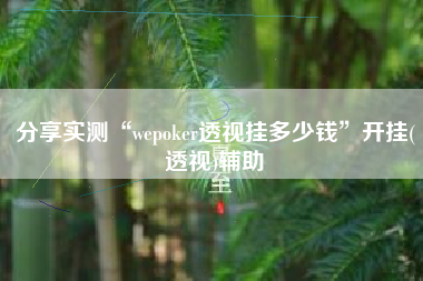 分享实测“wepoker透视挂多少钱”开挂(透视)辅助