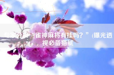专家分析“雀神麻将有挂吗？”(曝光透视必备猫腻