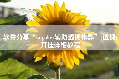 软件分享“wepoker辅助透视作弊”(透视)开挂详细教程