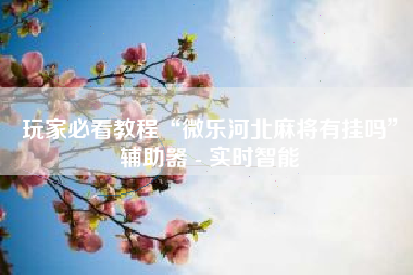 玩家必看教程“微乐河北麻将有挂吗”辅助器 - 实时智能