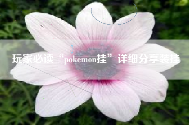 玩家必读“pokemon挂	”详细分享装挂