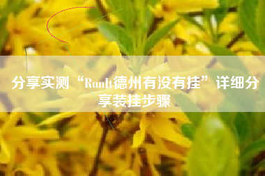 分享实测“RunIt德州有没有挂”详细分享装挂步骤