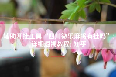 辅助开挂工具“四川微乐麻将有挂吗”(详细透视教程)-知乎