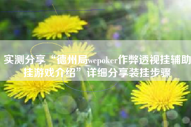 实测分享“德州局wepoker作弊透视挂辅助挂游戏介绍	”详细分享装挂步骤