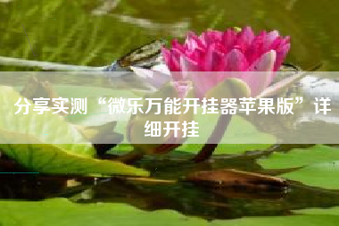 分享实测“微乐万能开挂器苹果版	”详细开挂