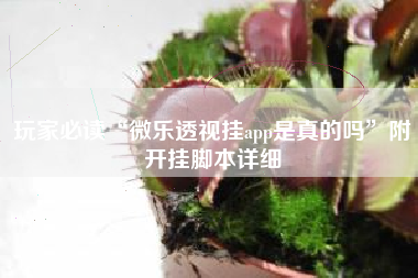 玩家必读“微乐透视挂app是真的吗	”附开挂脚本详细