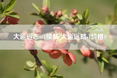 大运远志m1续航(大运远略s1价格)