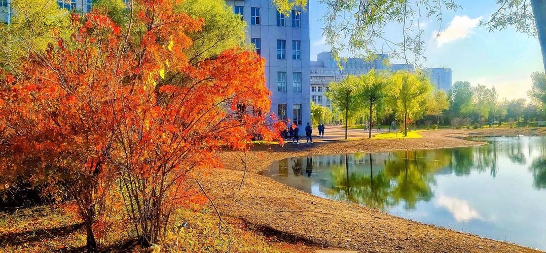 【八一农垦大学,八一农垦大学地址在哪里】